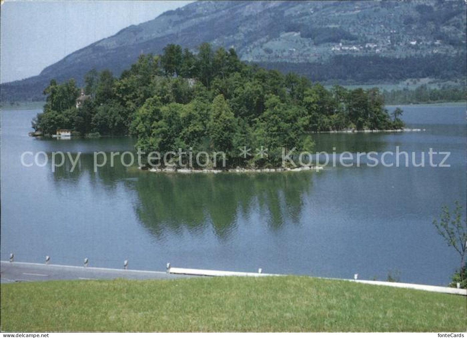 Lauerz Lauerzer See