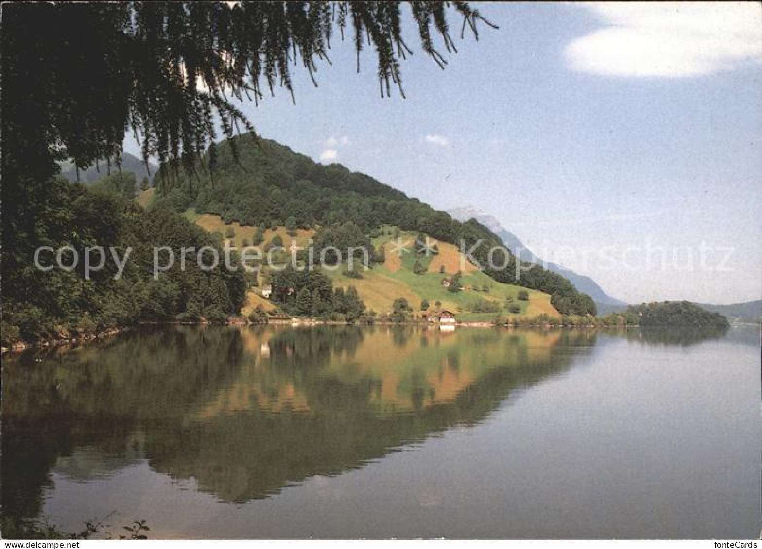Lauerz Lauerzersee