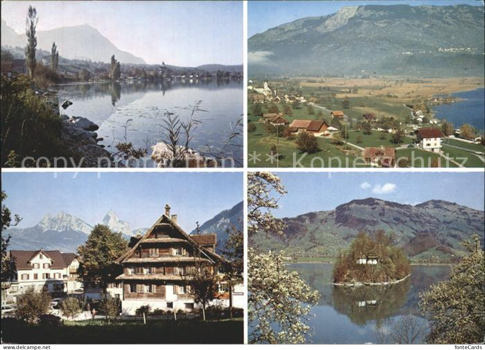 Lauerz Lauerzersee Insel Alpen