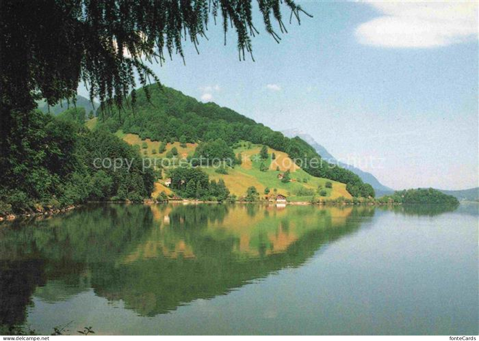 Lauerz Schwyz SZ Panorama