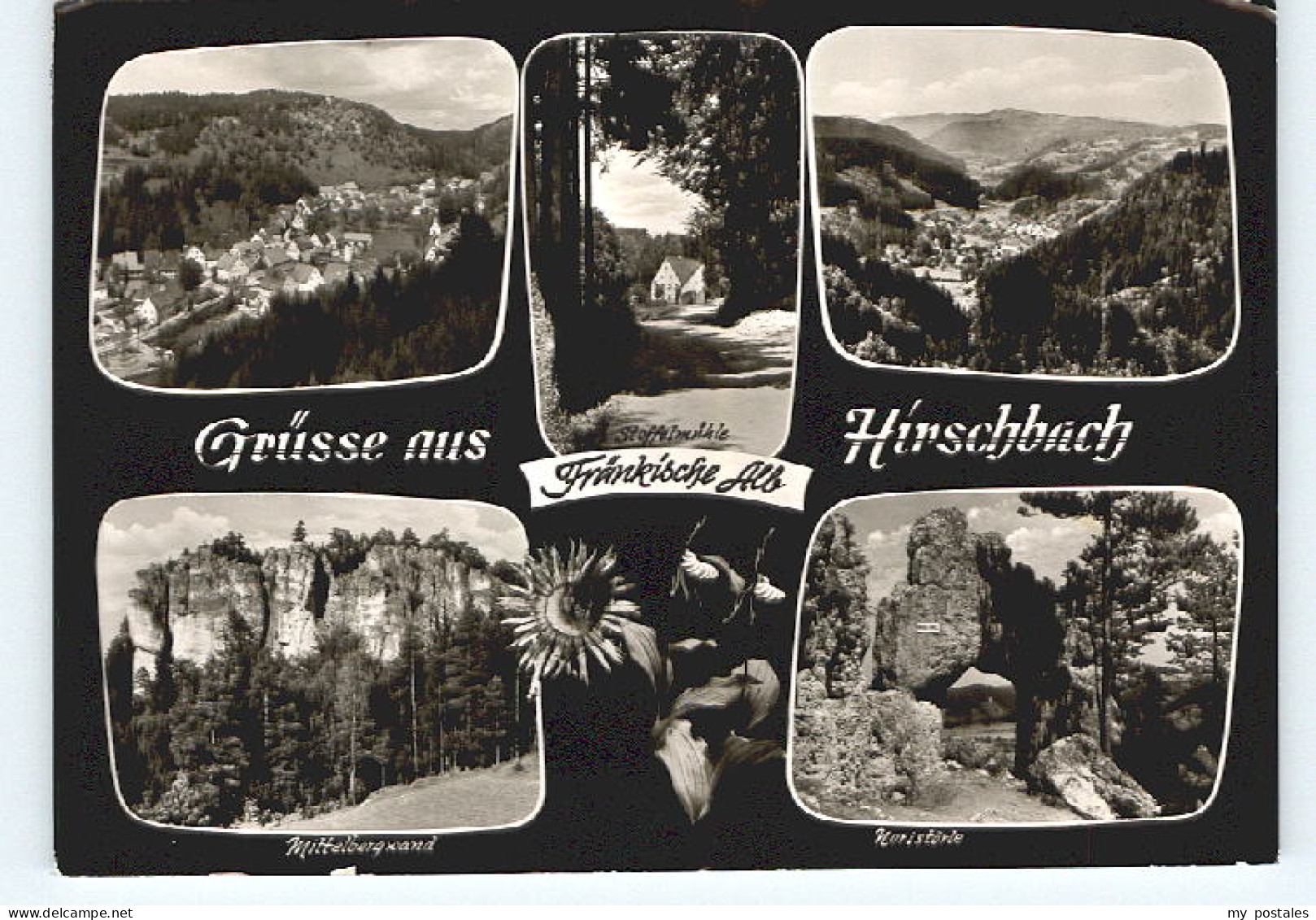 Lauf Pegnitz Lauf Hirschbach