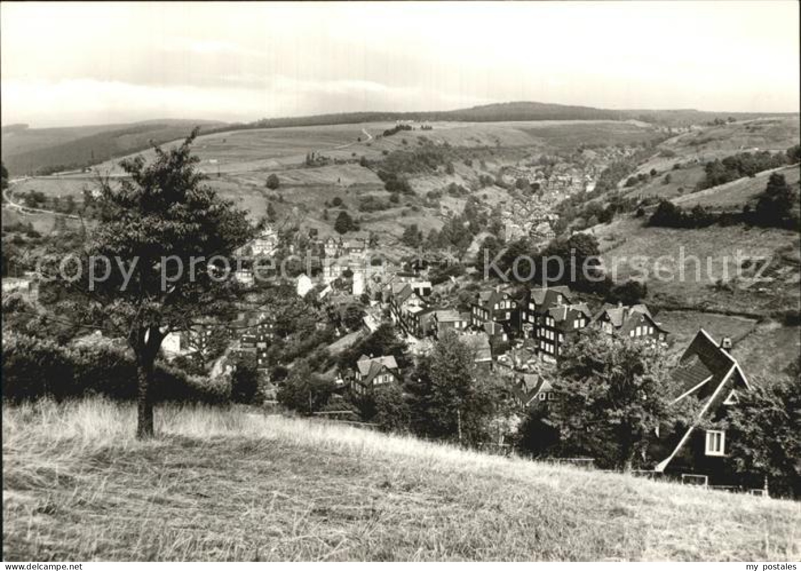 Lauscha Panorama