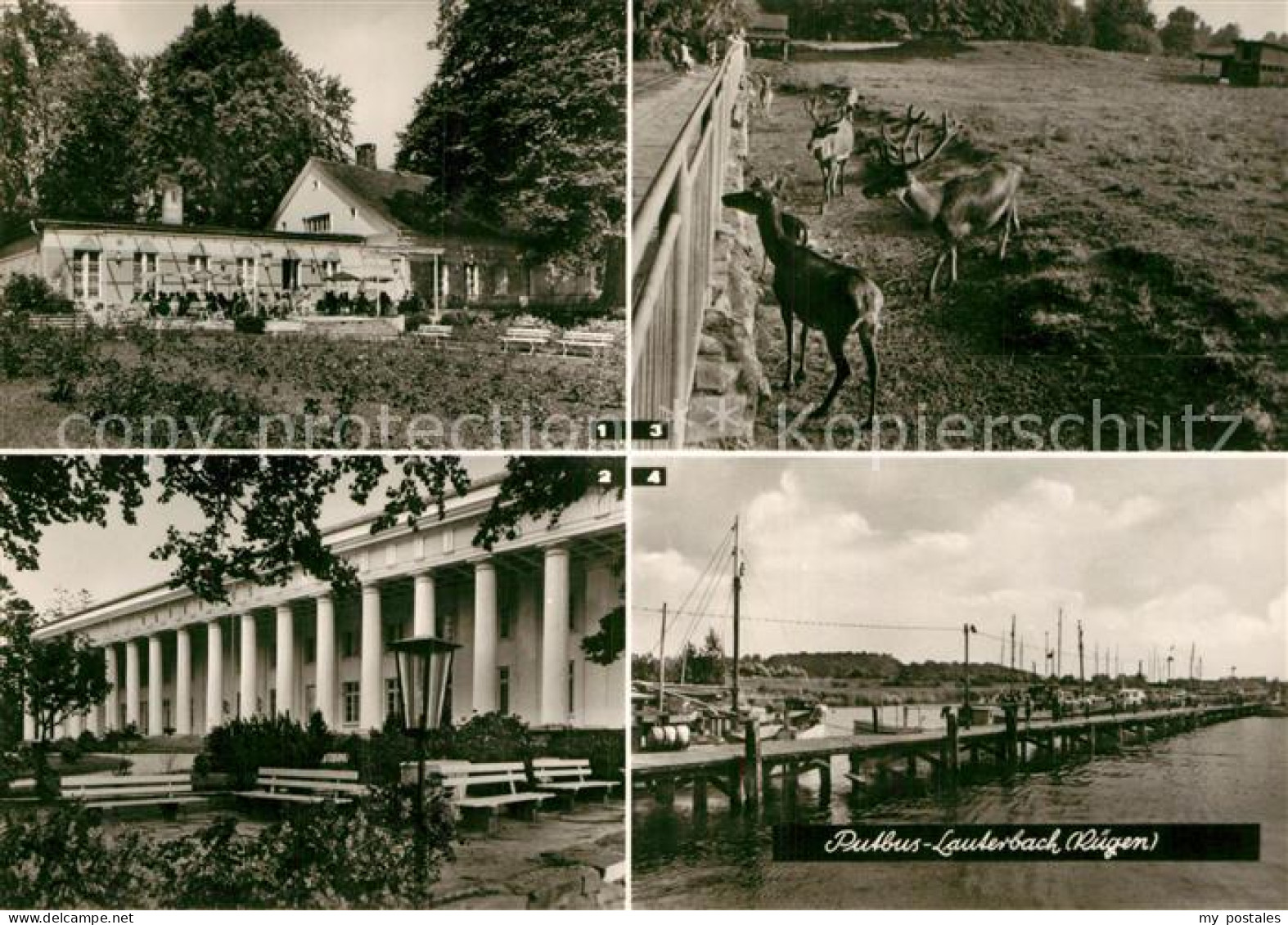 Lauterbach Putbus Rosencafe Haus Goor Erholungsheim Wildgehege Hafen
