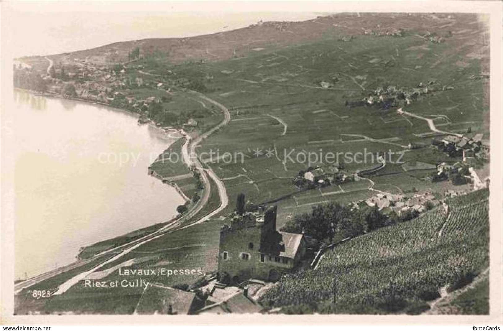 Lavaux  VD Riez et Cully vue aerienne