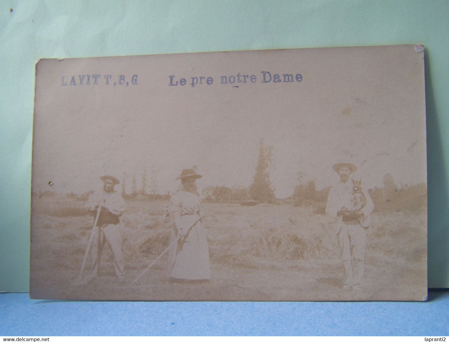 LAVIT (TARN ET GARONNE) L'AGRICULTURE. CARTE-PHOTO. LE PRE NOTRE DAME.