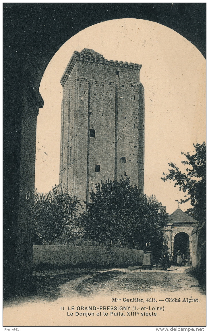 LE GRAND PRESSIGNY - Le Donjon et le Puits