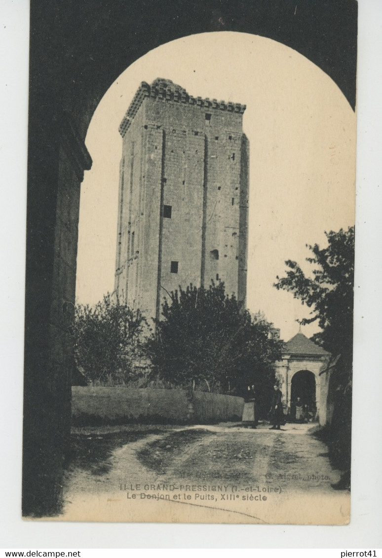 LE GRAND PRESSIGNY - Le Donjon et le Puits