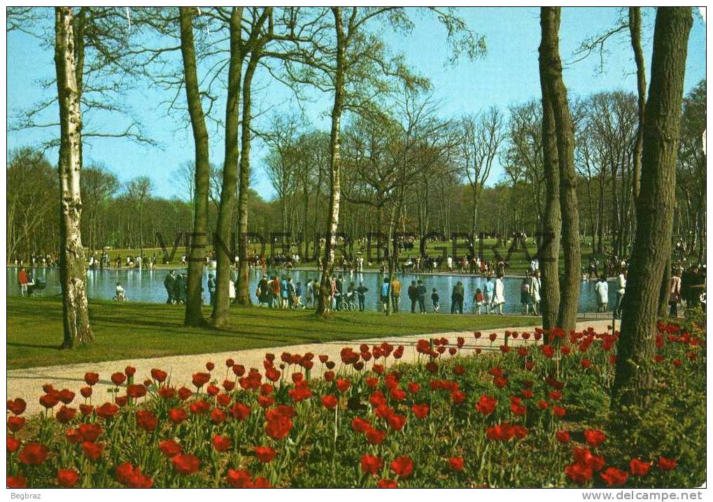 LE HAVRE        LA FORET DE MONTGEON