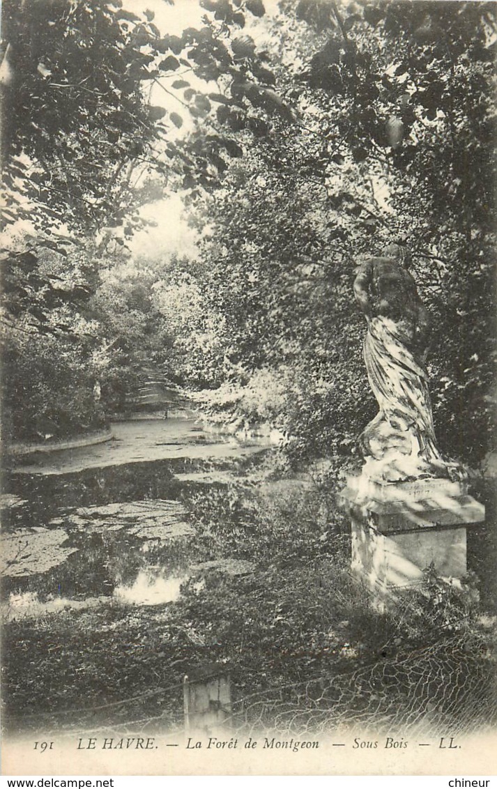LE HAVRE LA FORET DE MONTGEON