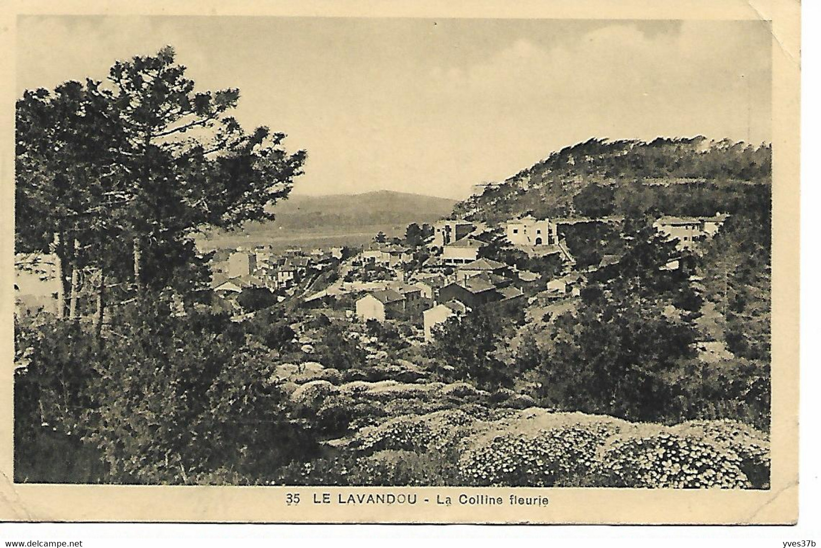 LE LAVANDOU - La Colline fleurie