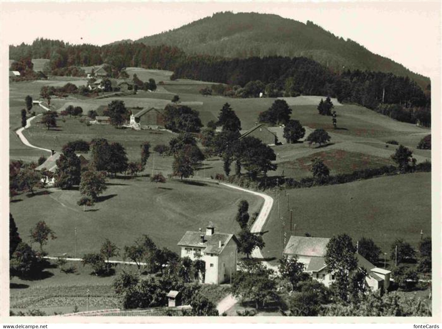 Le Pigeon Chaufferossaz Puidoux VD Panorama