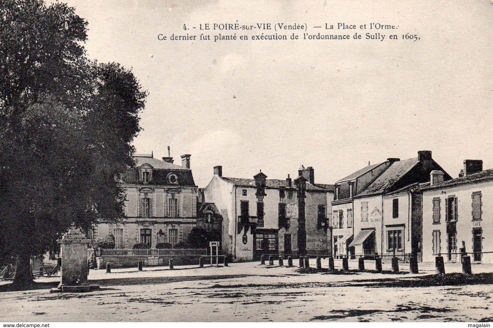Le Poiré sur Vie : la place et l'Orme