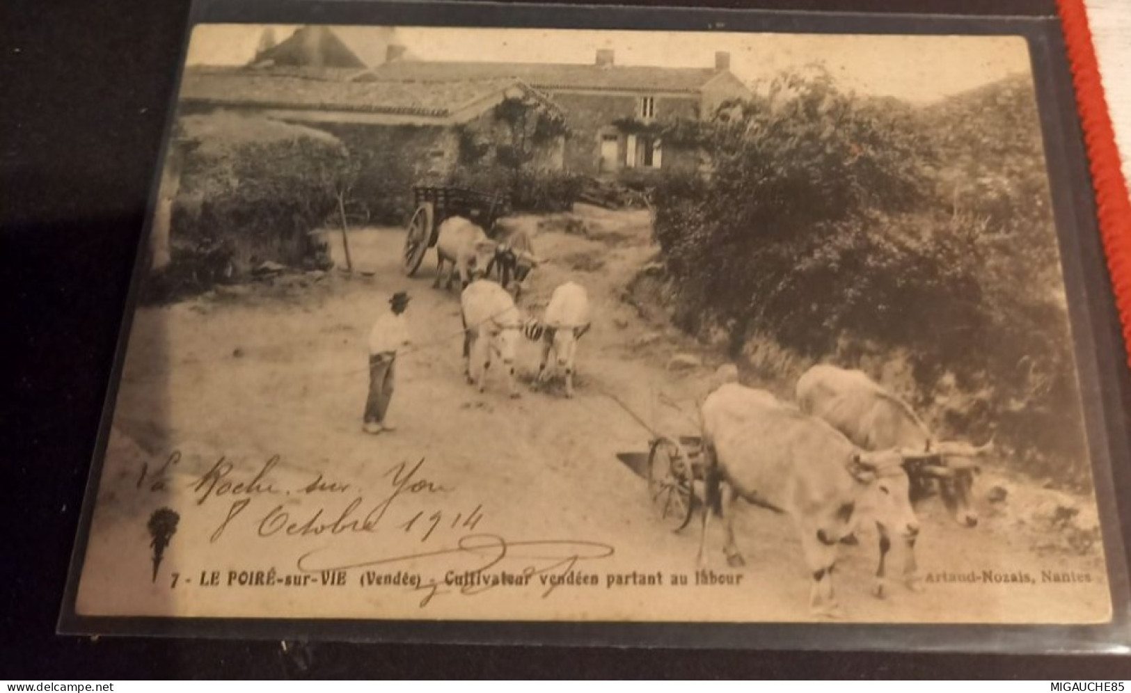 LE POIRE  SUR VIE  -N°7*-   cultivateur  vendéen partant au labour