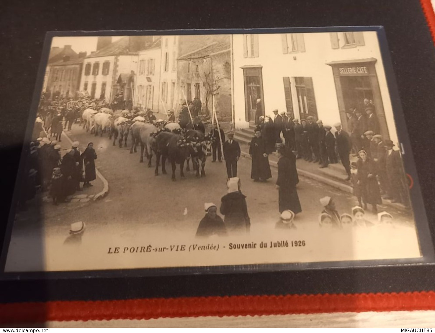 LE POIRE SUR VIE -  souvenir du jubilé 1926