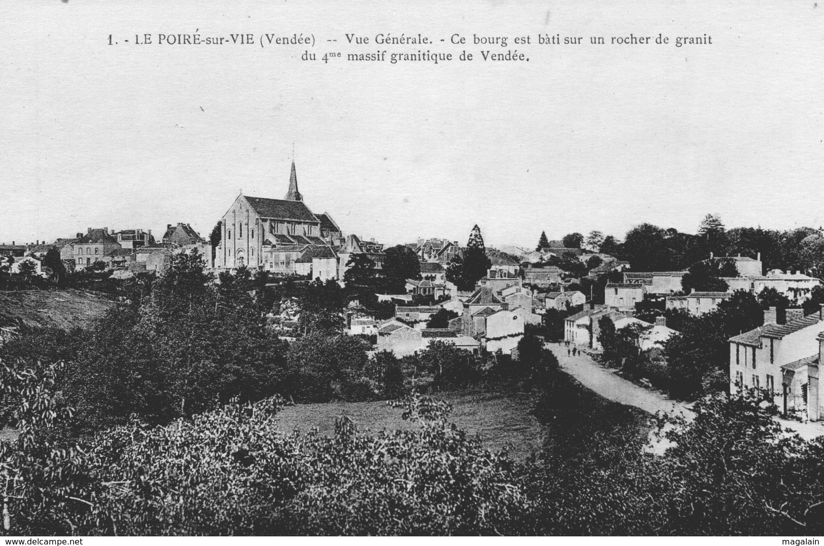 Le Poiré sur Vie : vue générale