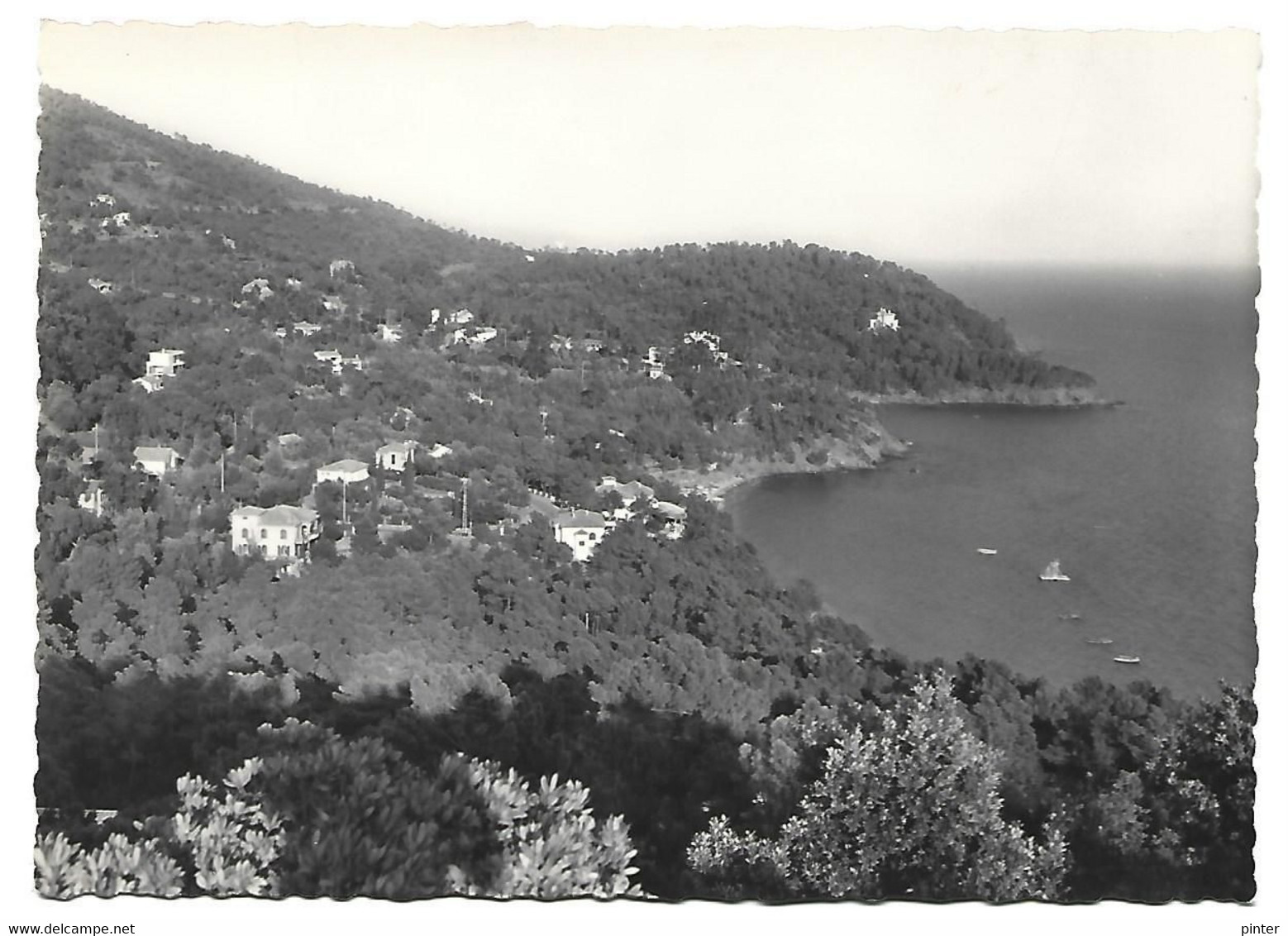 LE RAYOL - CANADEL SUR MER - Vue générale