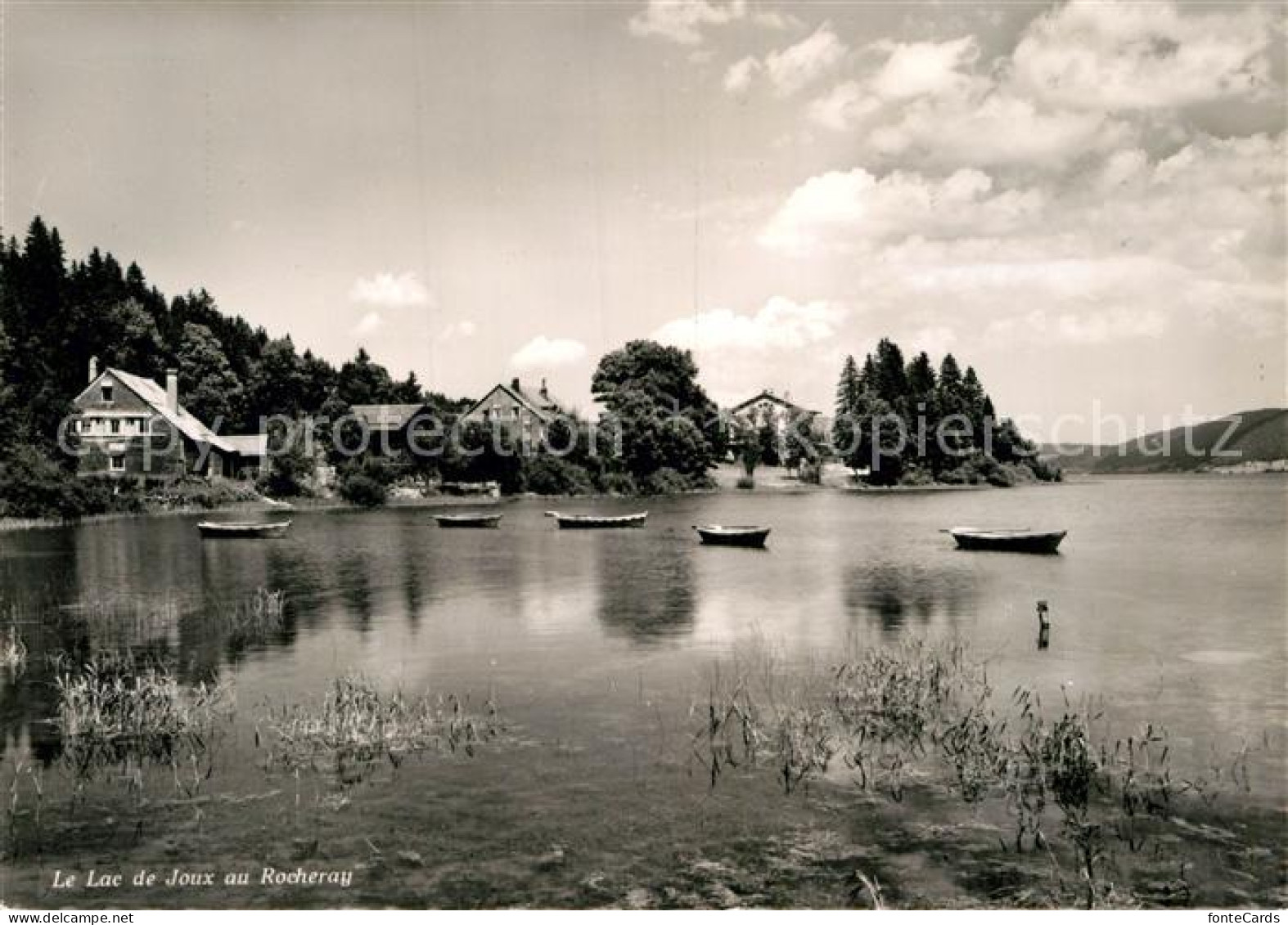 Le Rocheray Lac de Joux