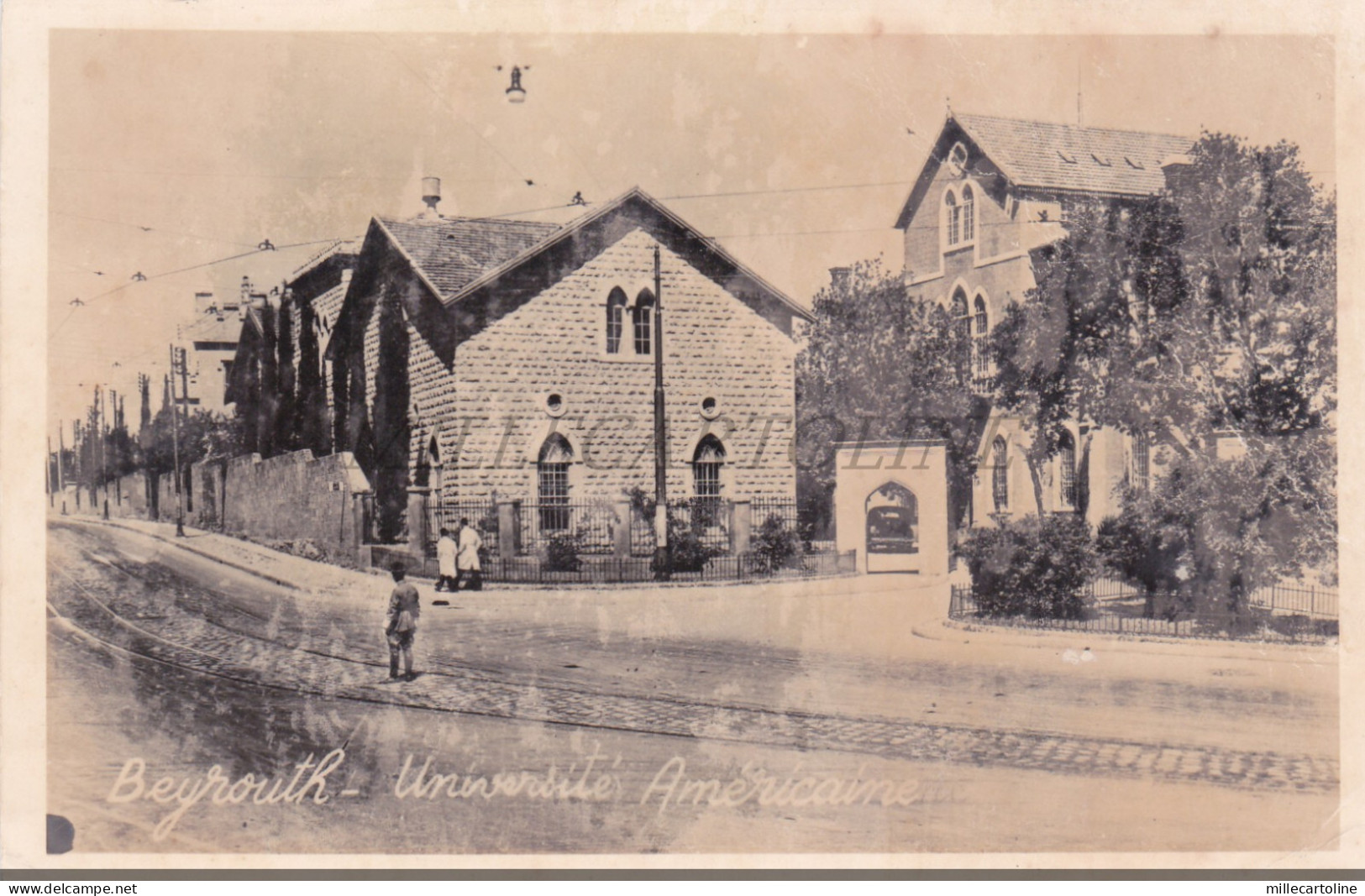 LEBANON - Beyrouth, Université Américaine, Photo Postcard 1951