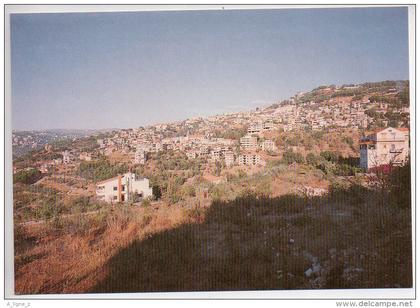 REF 238 : CPSM Liban Libano Beit Chabab Panorama