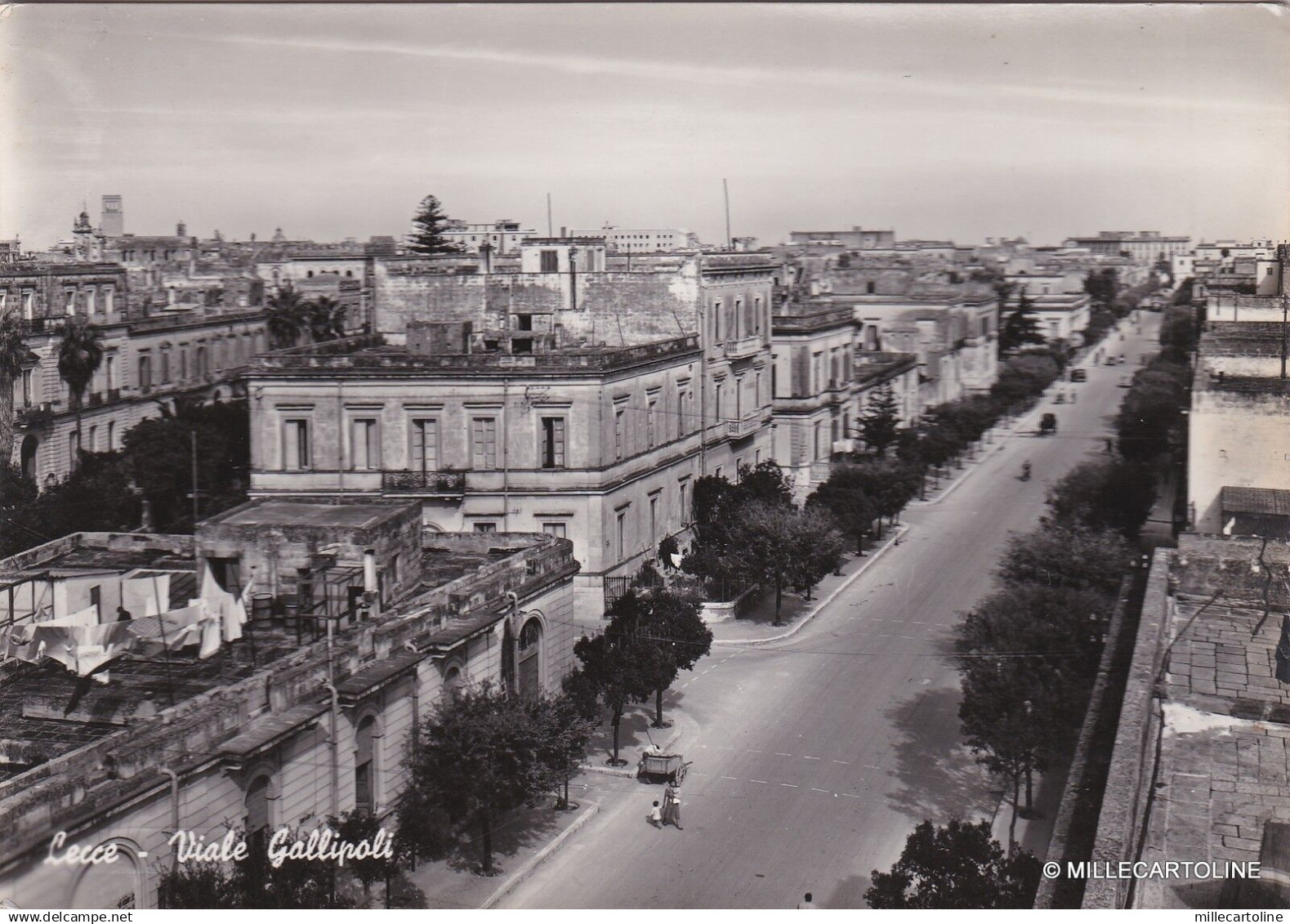 # LECCE: VIALE GALLIPOLI  (3)