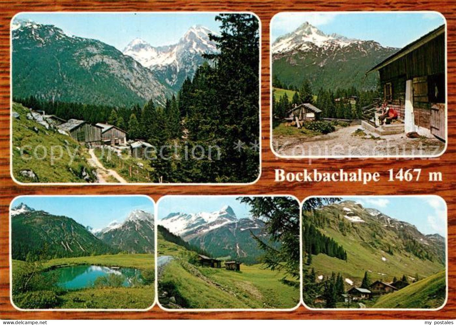 Lechtal Vorderbockbachalpe Birchetsgump