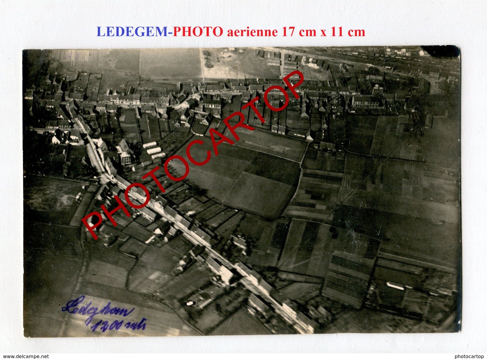 LEDEGEM-Vue Aerienne-Grosse PHOTO Allemande-Guerre 14-18-1 WK-BELGIEN-Flandern-