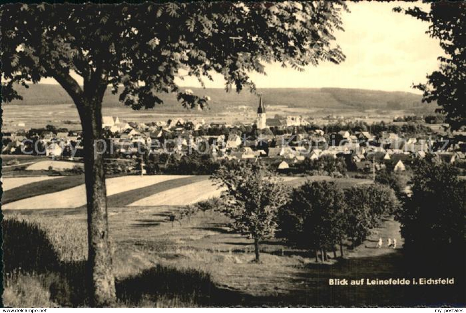 Leinefelde Panorama