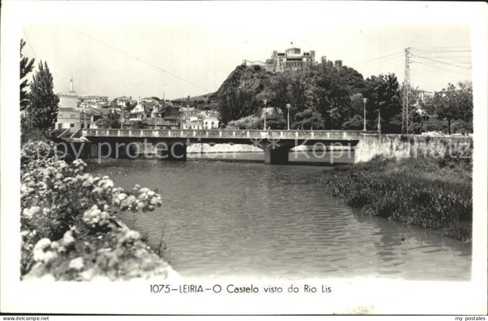 Leiria Castelo visto de Rio Lis