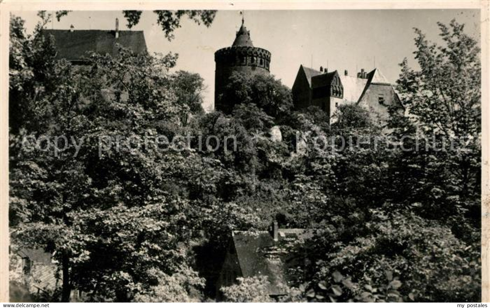 Leisnig Burg-Mildenstein