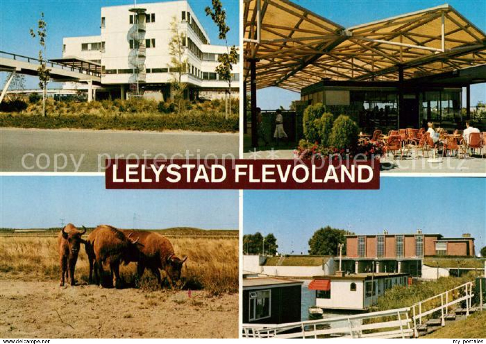 Lelystad Gebaeude Wisente Restaurant Terrasse Hausboot