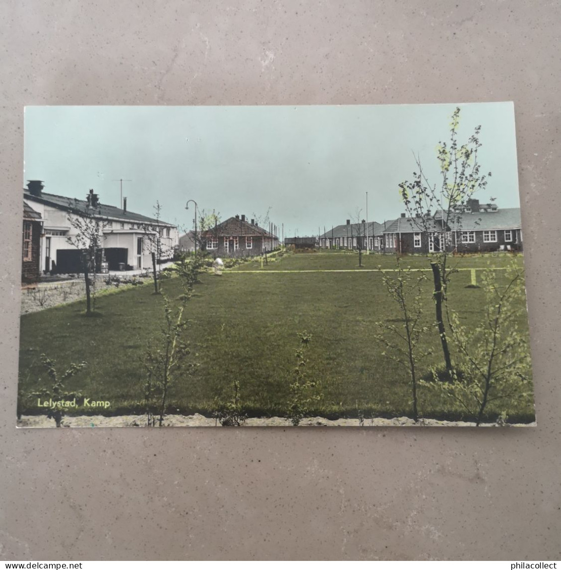 Lelystad // Kamp 1956?
