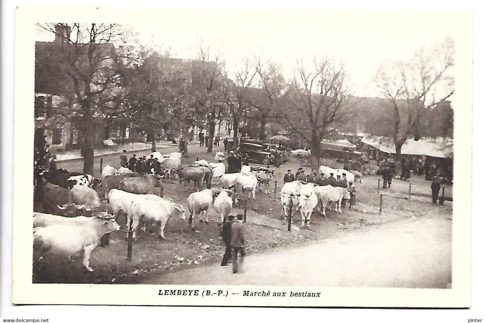 LEMBEYE - Marché aux bestiaux
