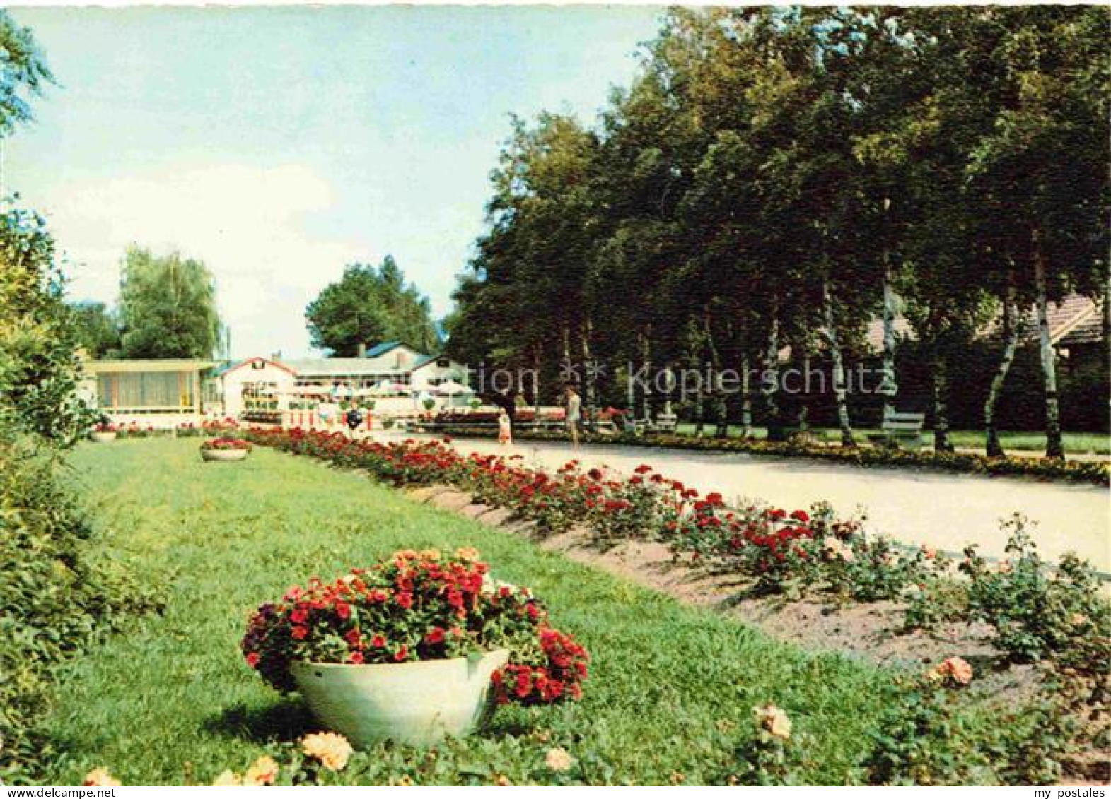 Lembruch Duemmersee Restaurant Café Seeblick