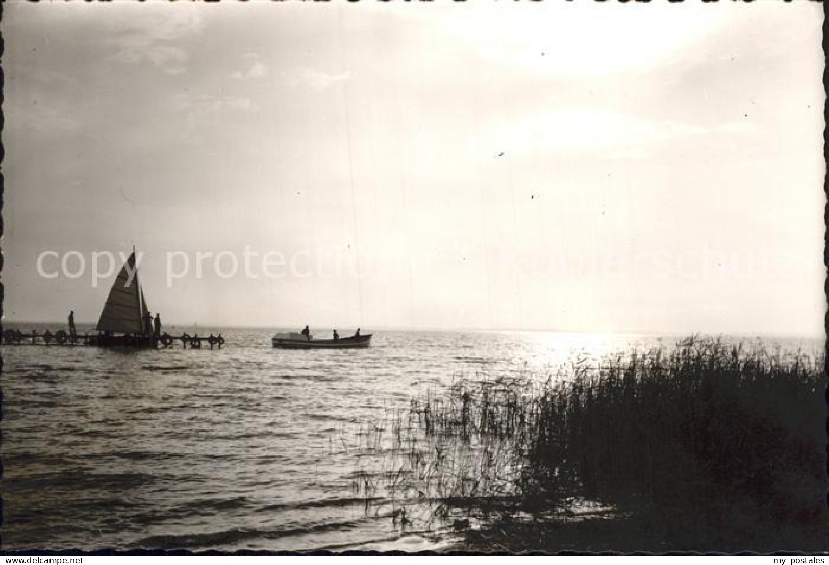 Lembruch Duemmersee Segelboot