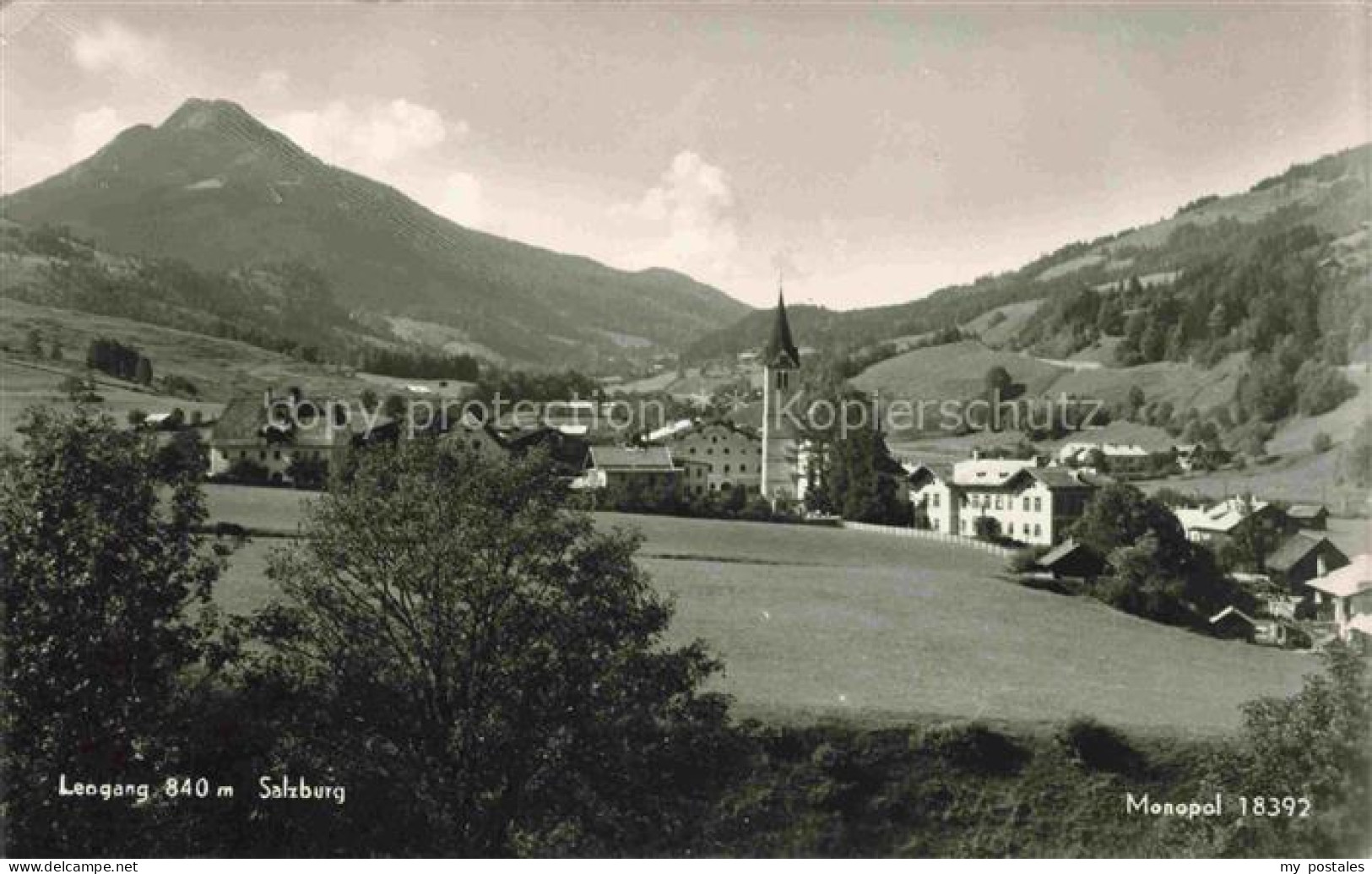 Leogang Saalbach-Hinterglemm AT Panorama