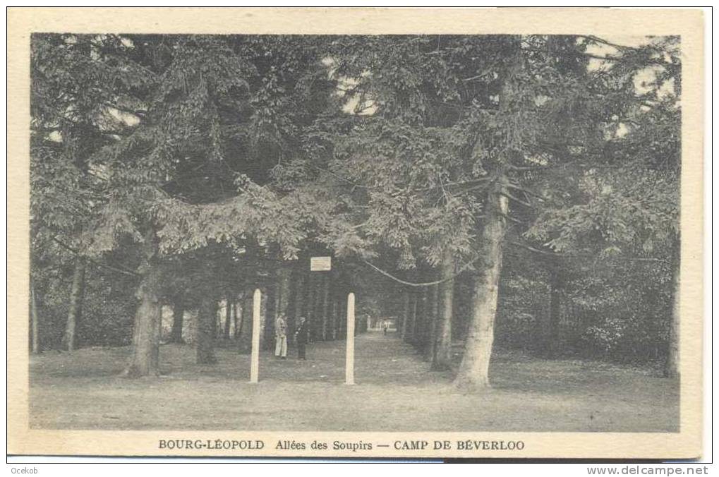 Leopoldsburg - kamp van Beverloo -  allée des soupirs