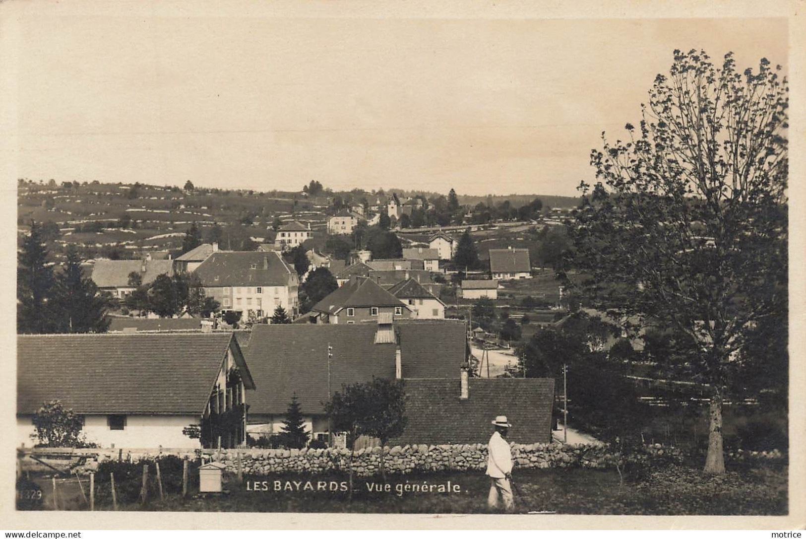 LES BAYARDS - vue générale, lot de trois cartes.
