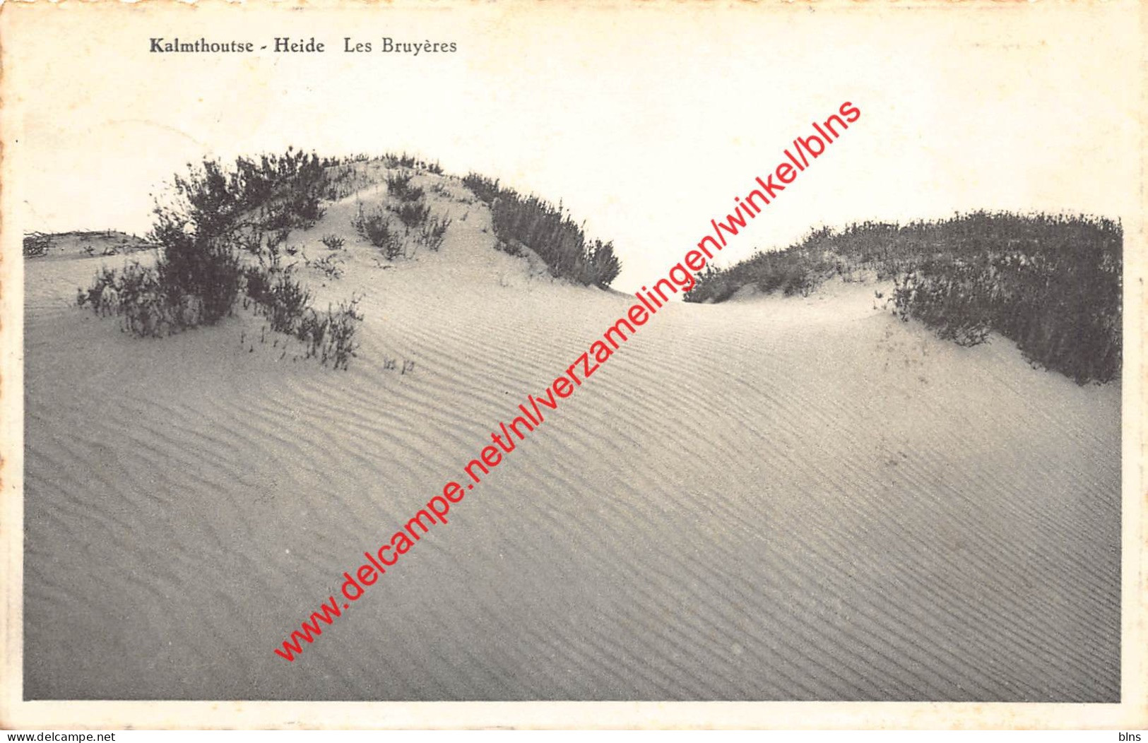 Les Bruyères - Heide - Kalmthout