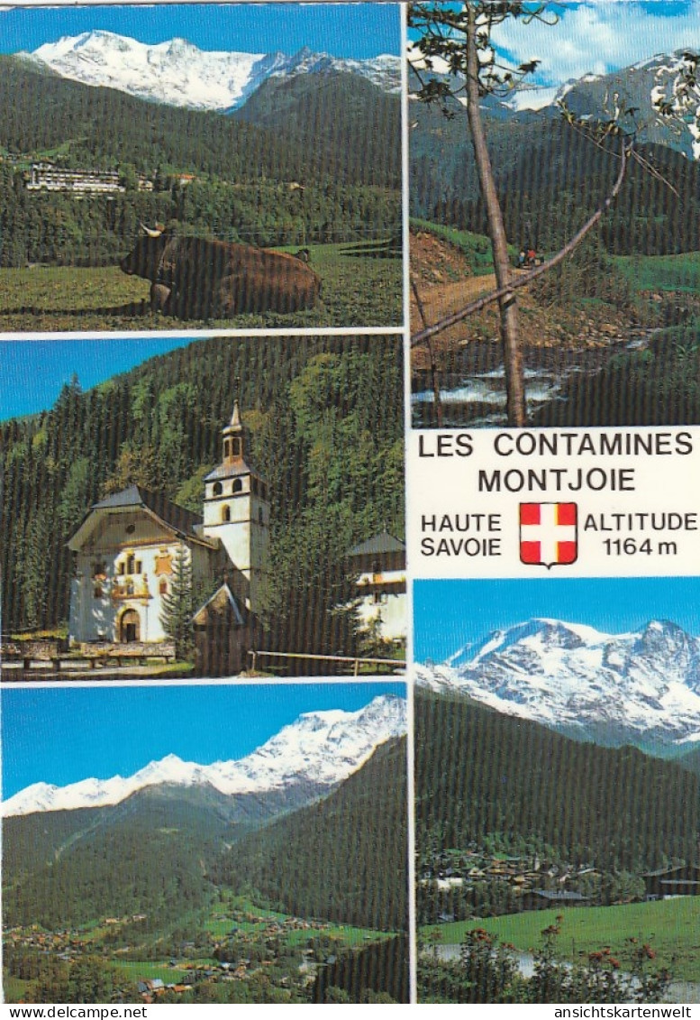 Les Contamines Montjoie gl1995 #F4373