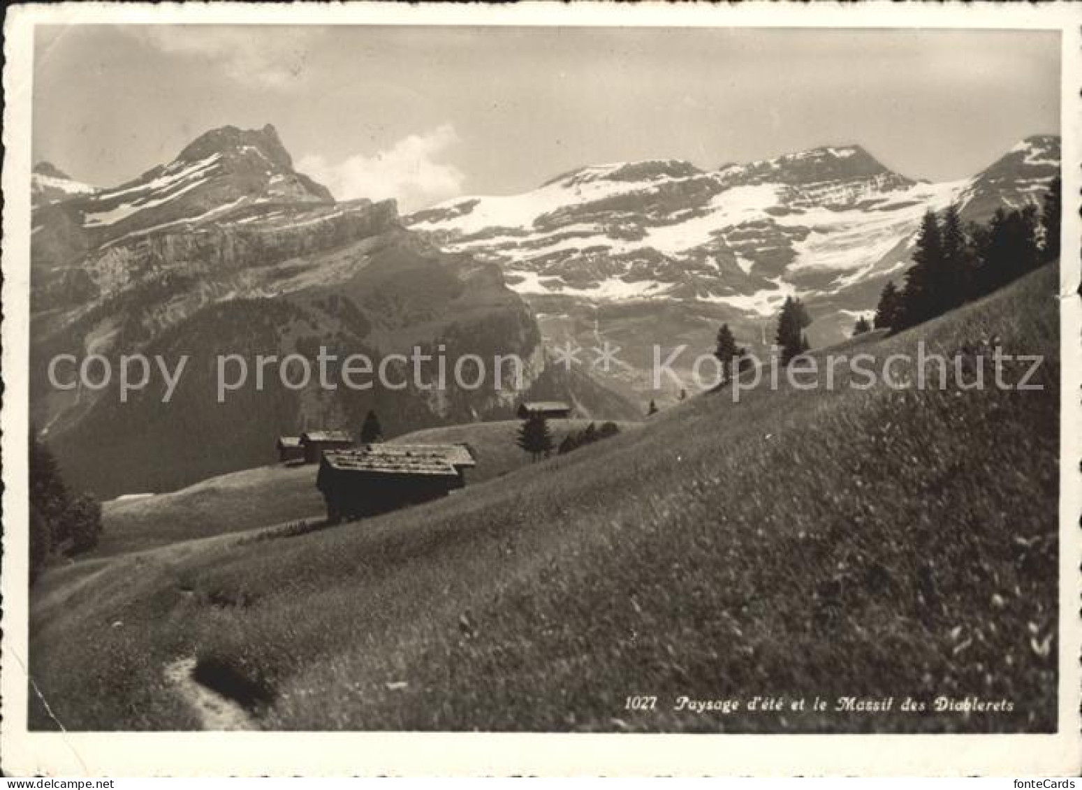 Les Diablerets Diablerets Sommerwiese Berghuetten