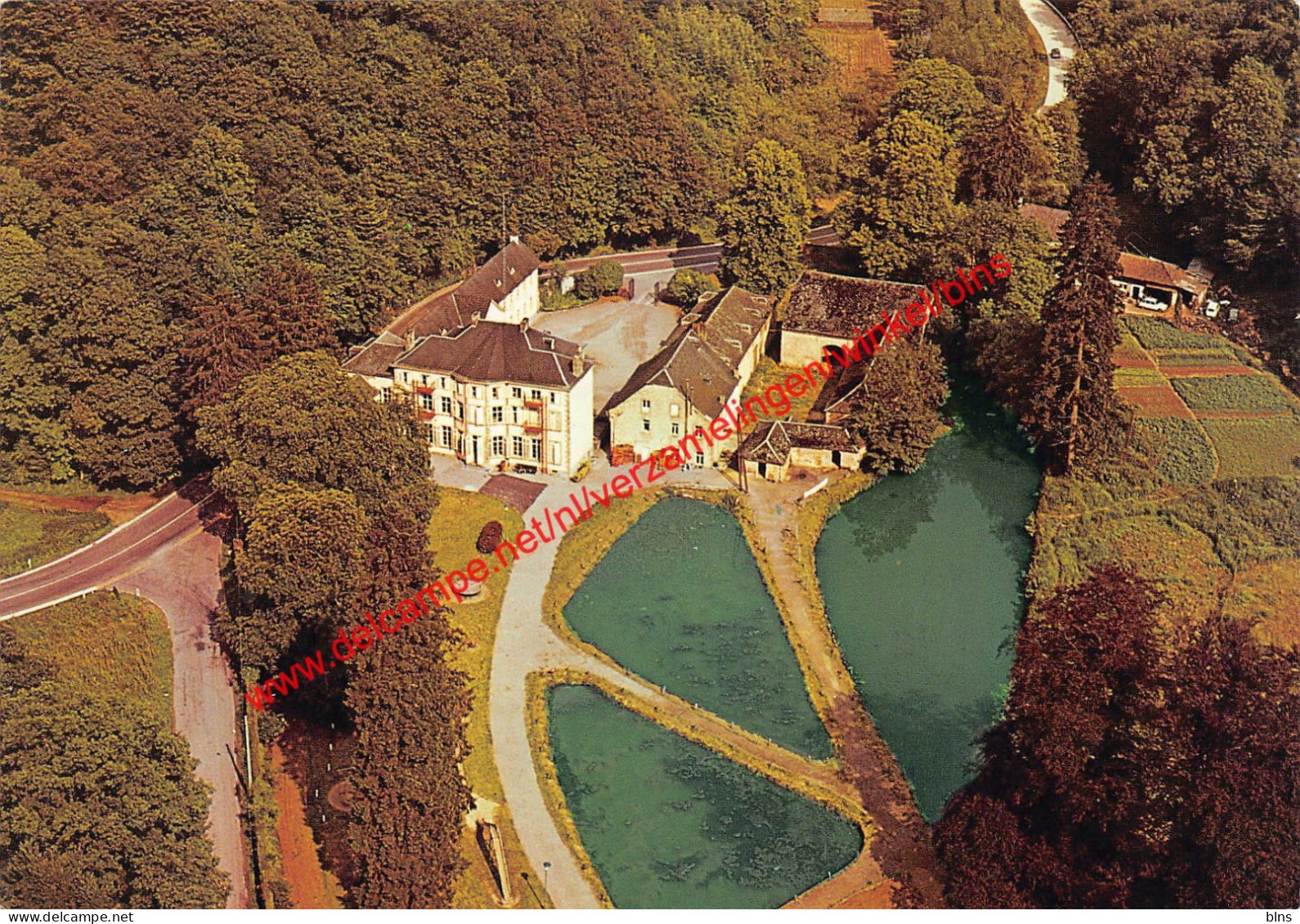 Les Etapes de la Route - Château Marteau-Longe - Arbre - Profondeville