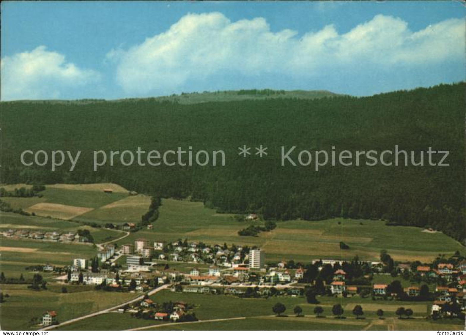 Les Geneveys-sur-Coffrane Panorama