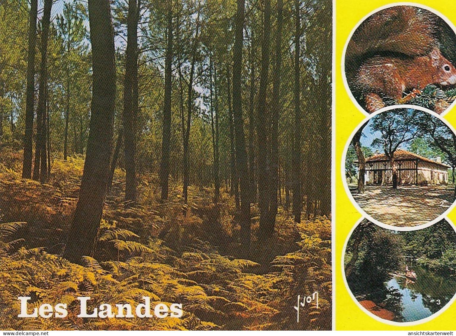 Les Landes, Côte Aquitaine ngl #E2522