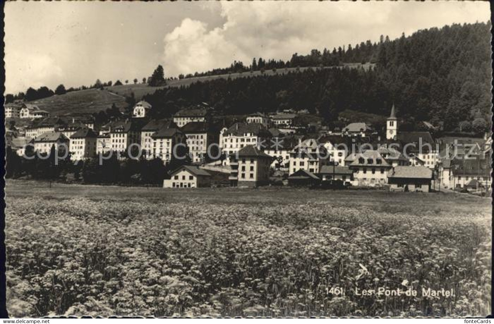 Les Ponts-de-Martel Vue generale