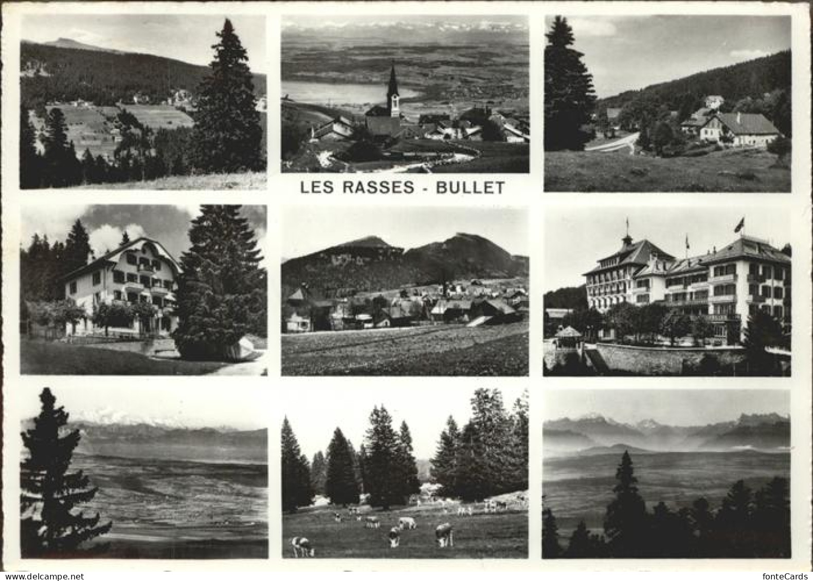 Les Rasses Bullet