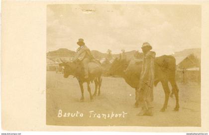 Basutoland Lesotho Transport on Buffalo photocard