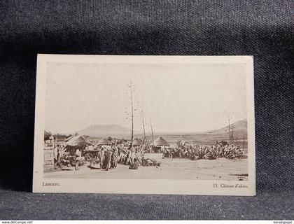 Lesotho Cloture d'aloes__(9793)