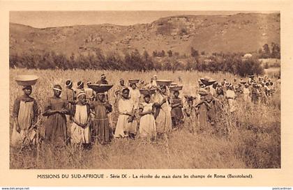 Lesotho - Harvesting corn in a field in Roma (Maseru District) - Publ. Missions of South Africa - Missionary Oblates of
