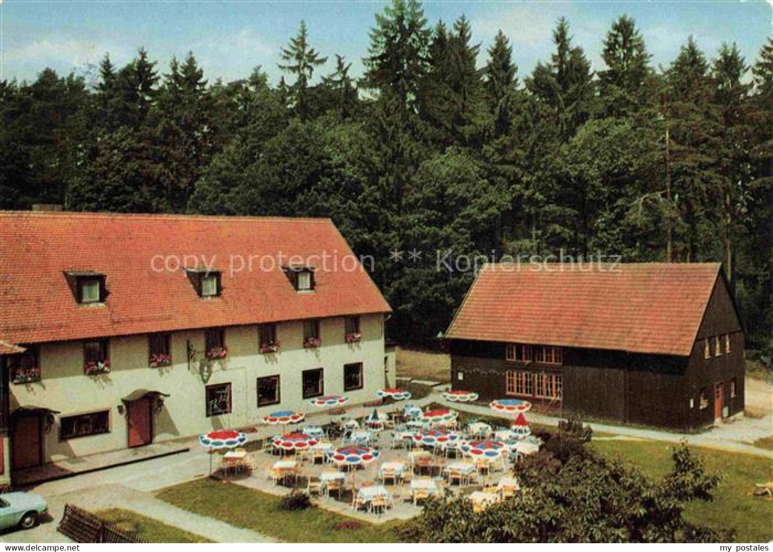 Lettgenbrunn Jossgrund Main-Kinzig-Kreis Hessen Jagdhaus Horst Gasthaus Gartente