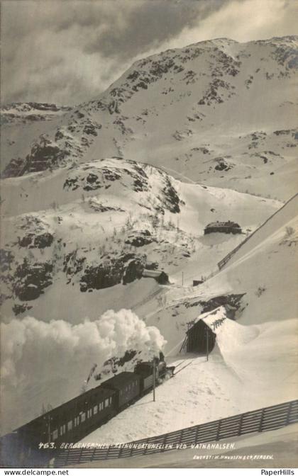 Noorwegen Norway - Bergensbanen